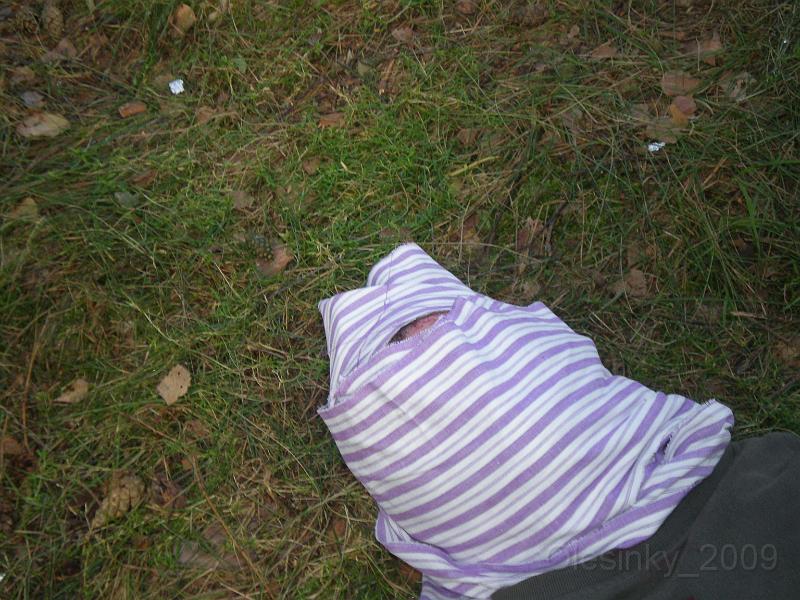 TABOR_Olesinky_2009_0123.JPG