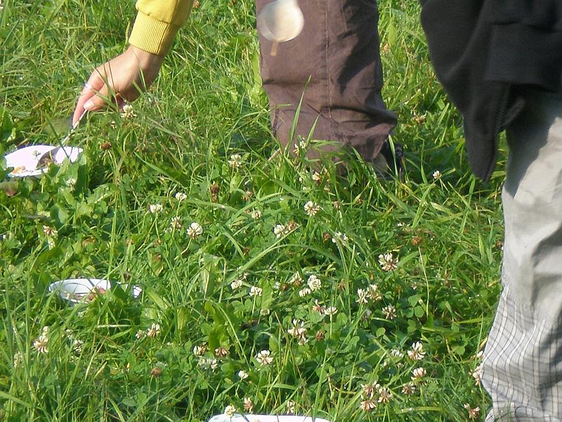 TABOR_Olesinky_2009_0139.JPG
