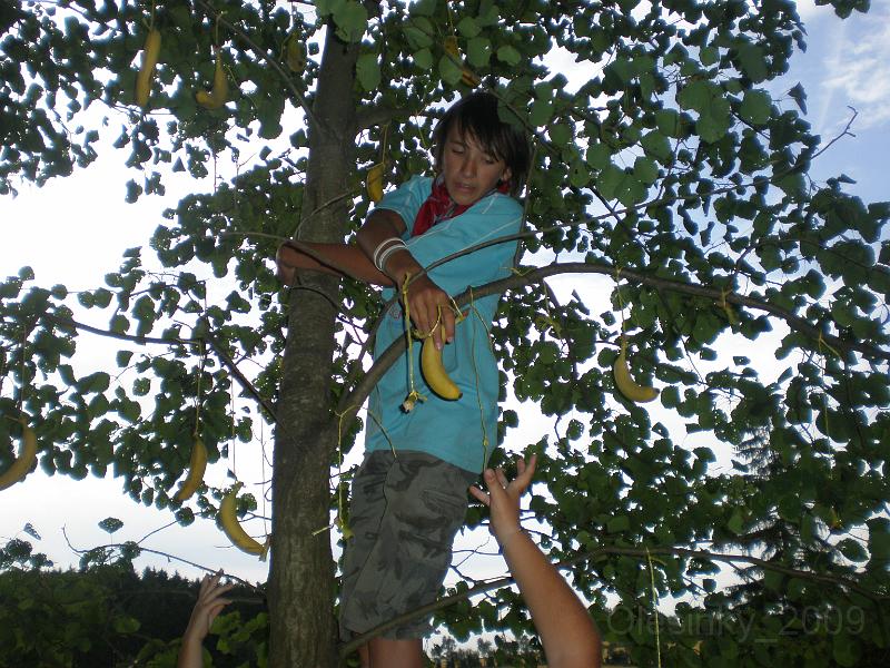 TABOR_Olesinky_2009_0169.JPG