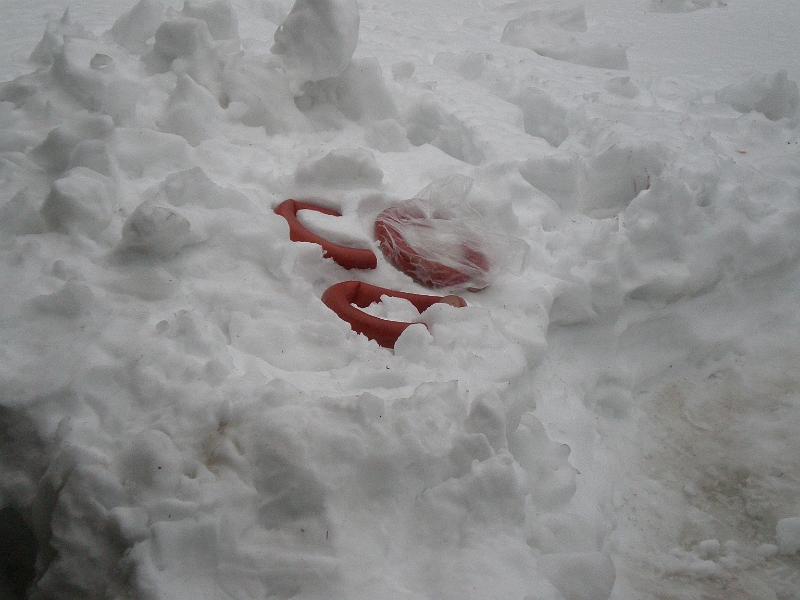 Preziti_jaro_2009_0011.JPG