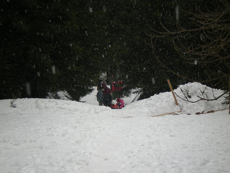 Preziti_jaro_2009_0101.JPG