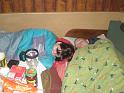 Preziti_jaro_2009_0117