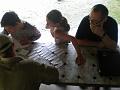 TABOR_2009_0058
