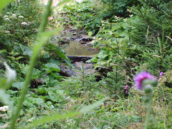 TABOR_srpen_2009_0663.JPG