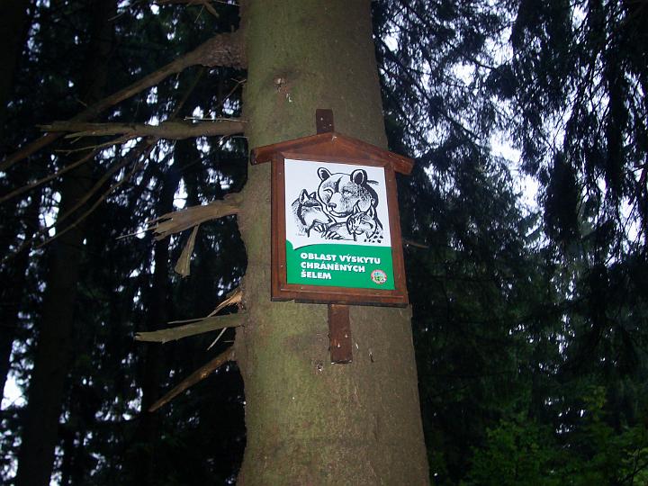 TABOR_srpen_2009_1022.JPG