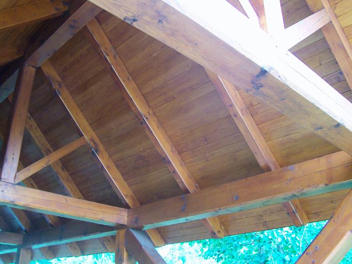 TABOR_srpen_2009_1108.JPG