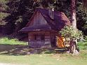 TABOR_srpen_2009_0504