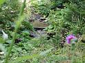 TABOR_srpen_2009_0663