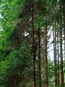 TABOR_srpen_2009_0783