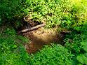 TABOR_srpen_2009_0790