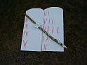 TABOR_srpen_2009_0847