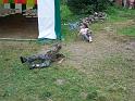 TABOR_srpen_2009_0926